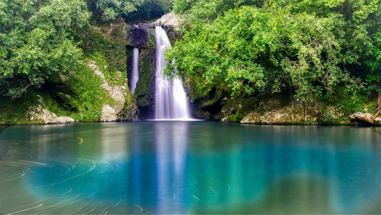 Social media et professionnels du tourisme ile de la réunion